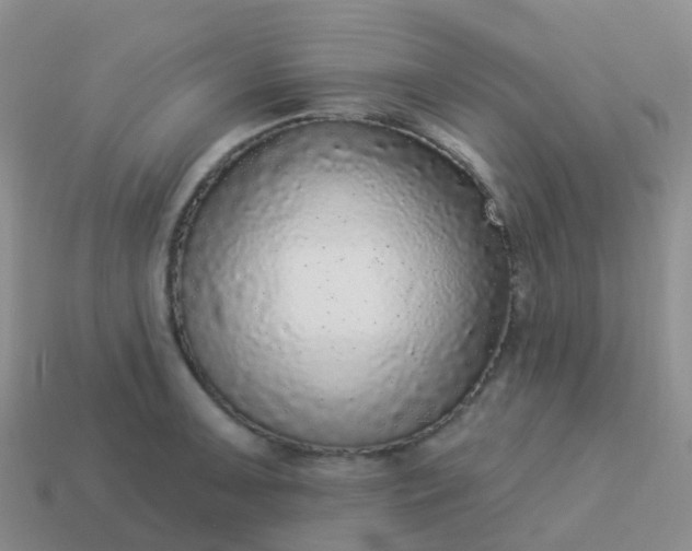 X0000113881091200910081742