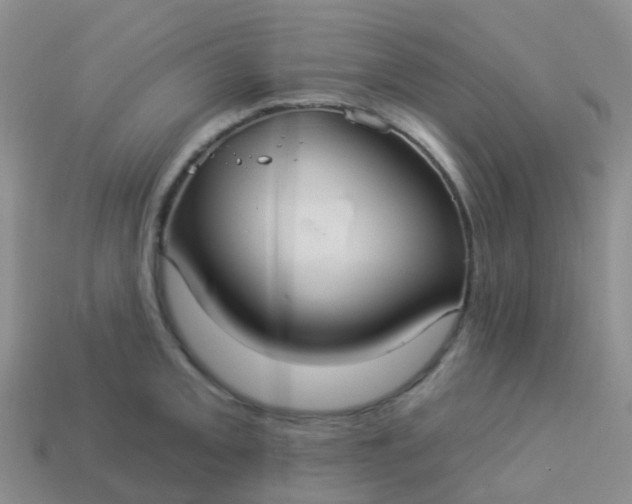 X0000113881093200910081742