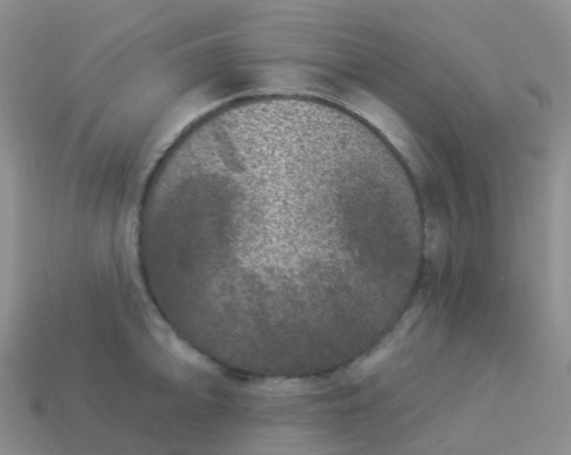 X0000113881094200910081742