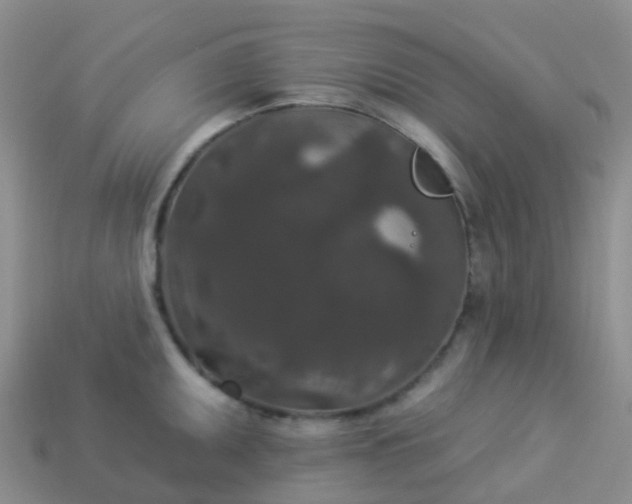 X0000113881095200910081742