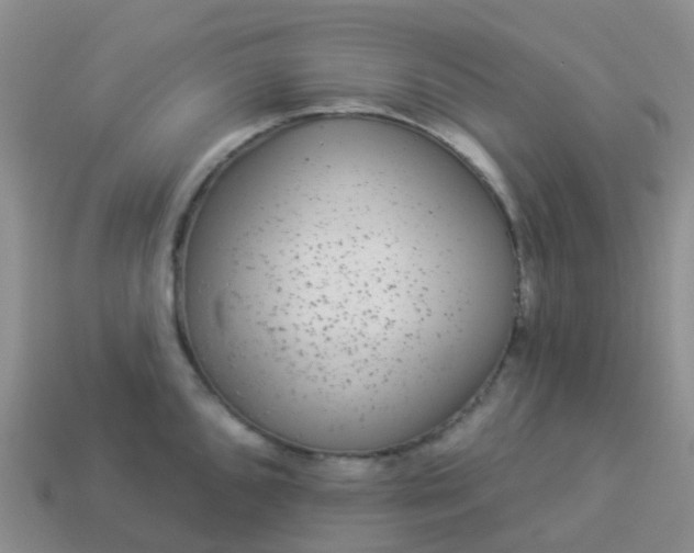 X0000113881096200910081742