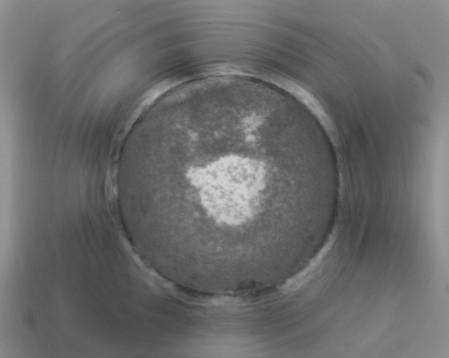 X0000113881097200910081741