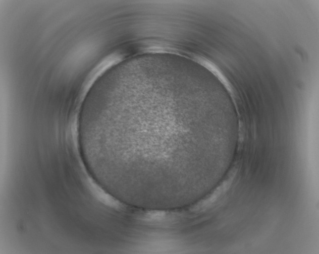 X0000113881098200910081741