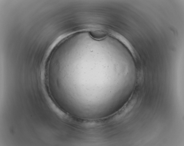 X0000113881099200910081741