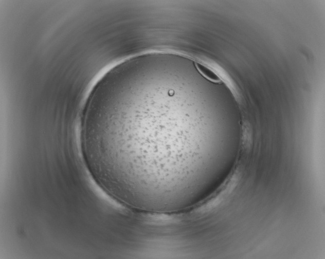 X0000113881100200910081741