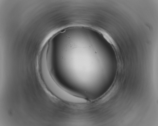 X0000113881101200910081741