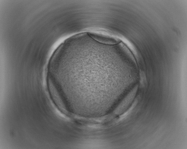 X0000113881102200910081741