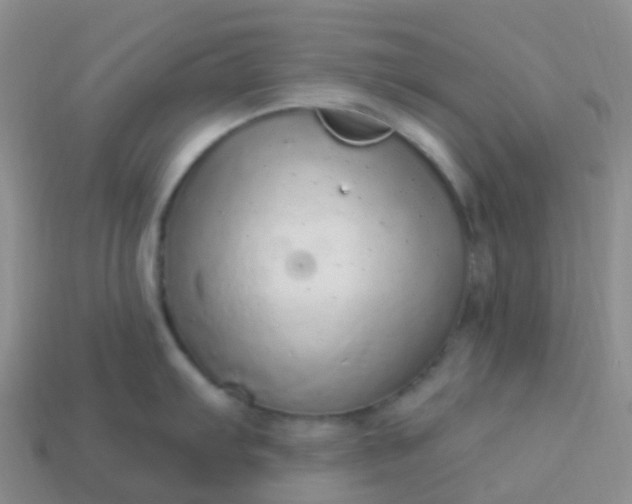 X0000113881103200910081741