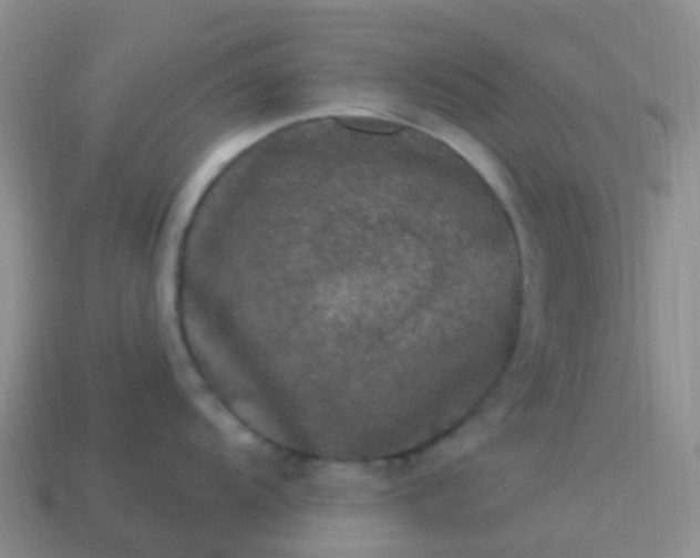 X0000113881104200910081741