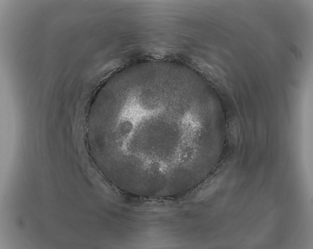 X0000113881105200910081741