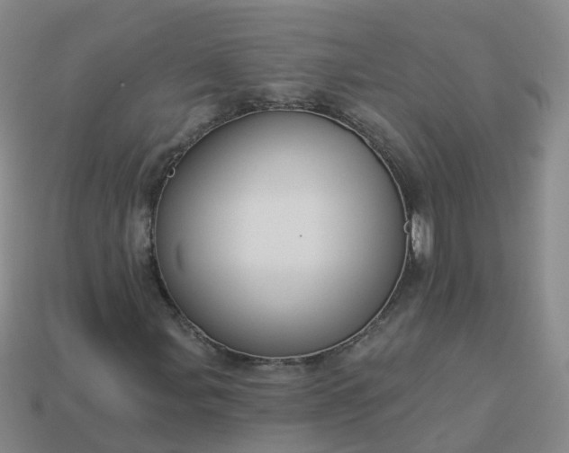 X0000113881107200910081741