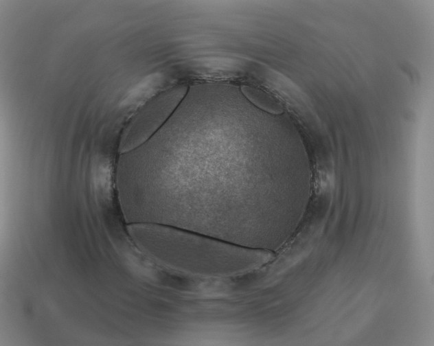 X0000113881108200910081741