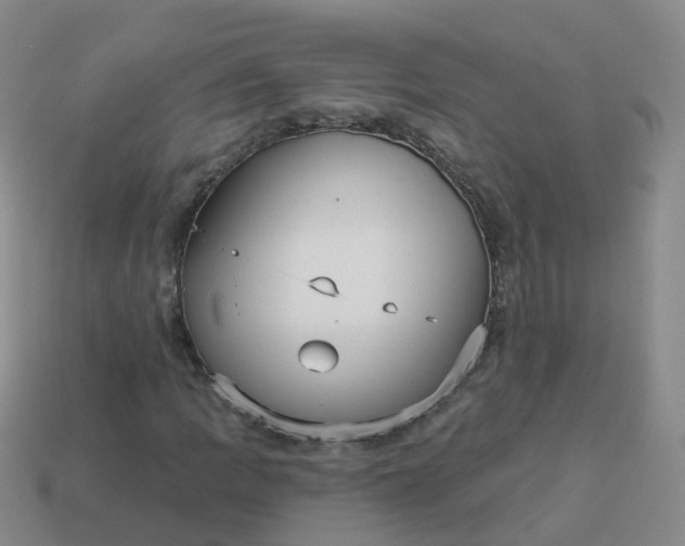 X0000113881109200910081741