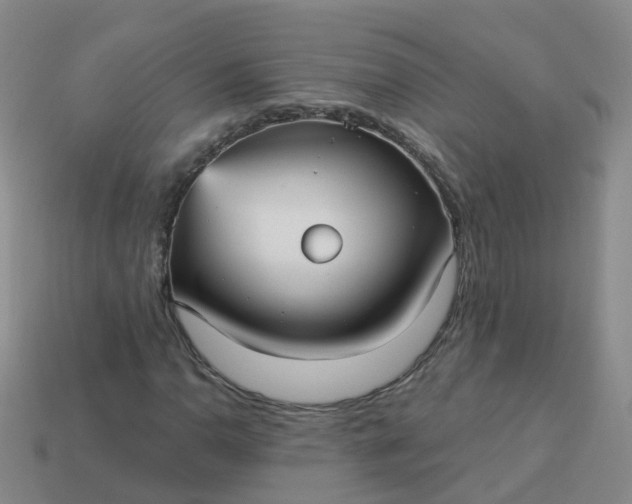 X0000113881110200910081741