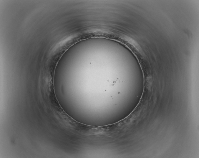 X0000113881111200910081741