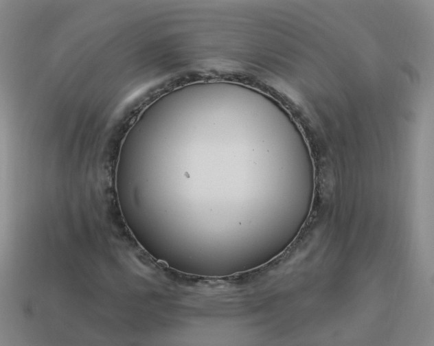 X0000113881112200910081741