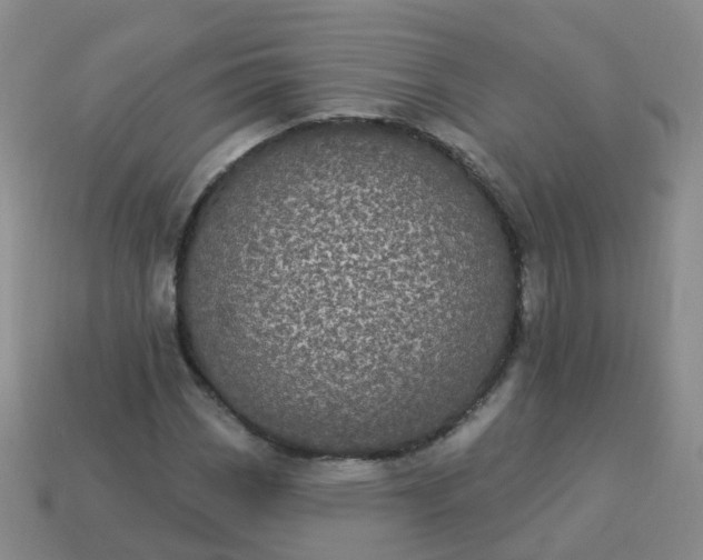 X0000113881113200910081741