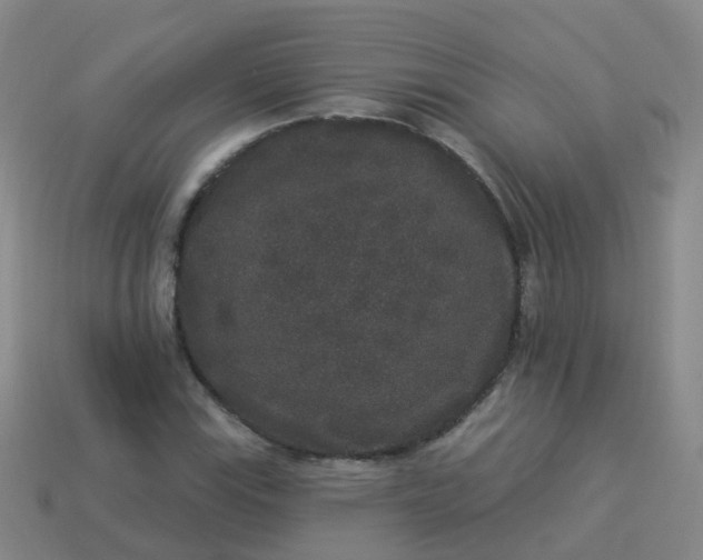 X0000113881115200910081741