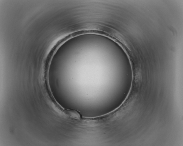 X0000113881116200910081741