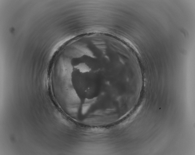 X0000113881117200910081741