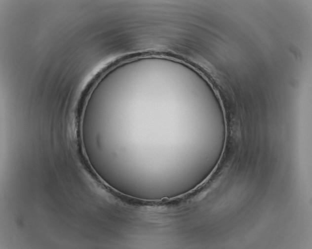 X0000113881118200910081741