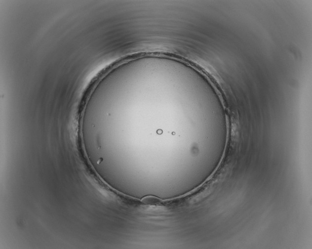 X0000113881119200910081741