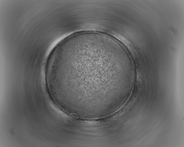 X0000113881120200910081741