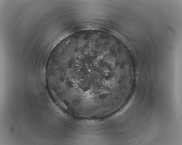 X0000113881121200910081741