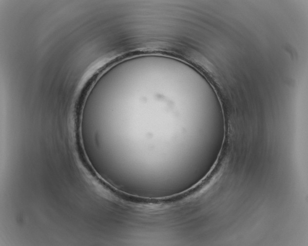 X0000113881122200910081741