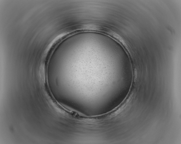 X0000113881123200910081741