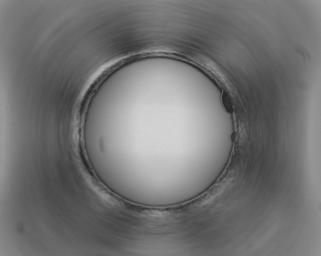 X0000113881124200910081741