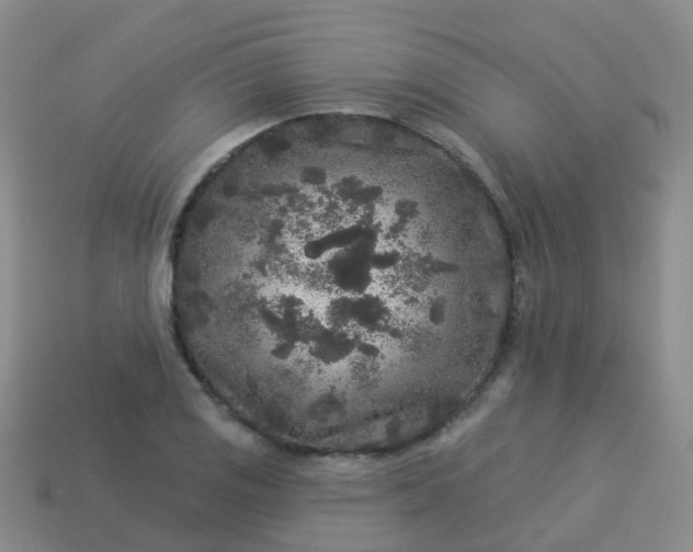 X0000113881125200910081741