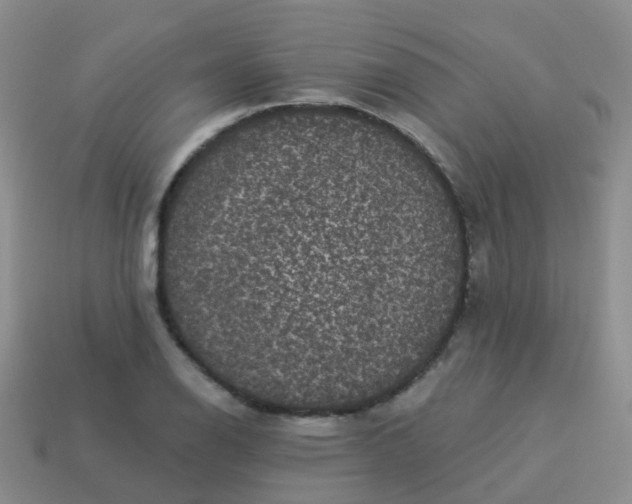 X0000113881126200910081741