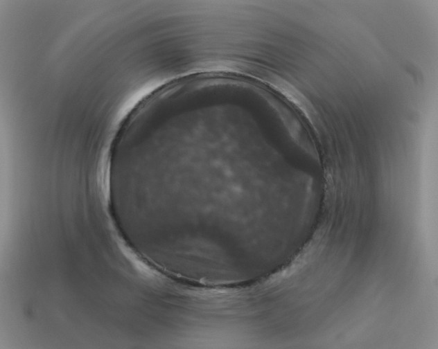 X0000113881127200910081741