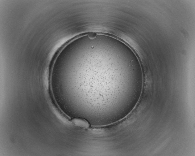 X0000113881128200910081741