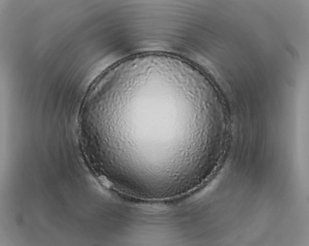 X0000113881129200910081741