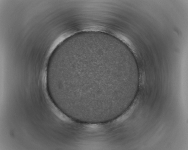 X0000113881130200910081741