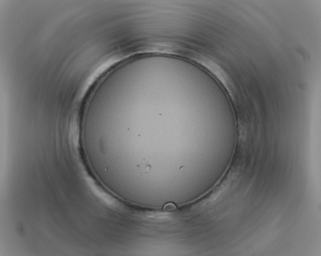 X0000113881131200910081741