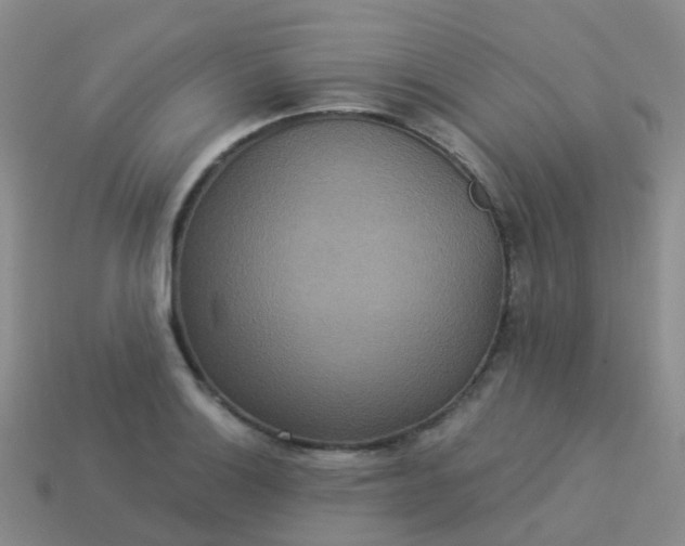 X0000113881132200910081741