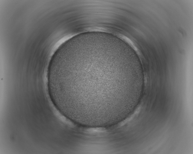 X0000113881133200910081741