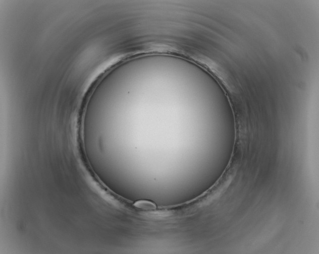 X0000113881134200910081741