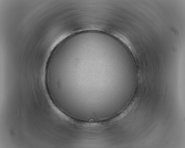 X0000113881135200910081741