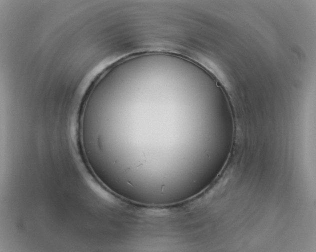 X0000113881136200910081741