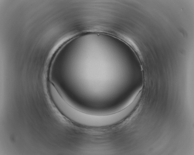 X0000113881138200910081741