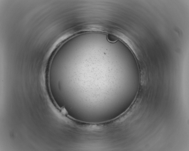 X0000113881139200910081741