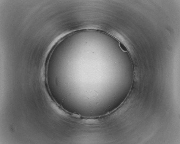 X0000113881140200910081741