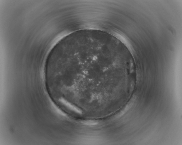 X0000113881141200910081741