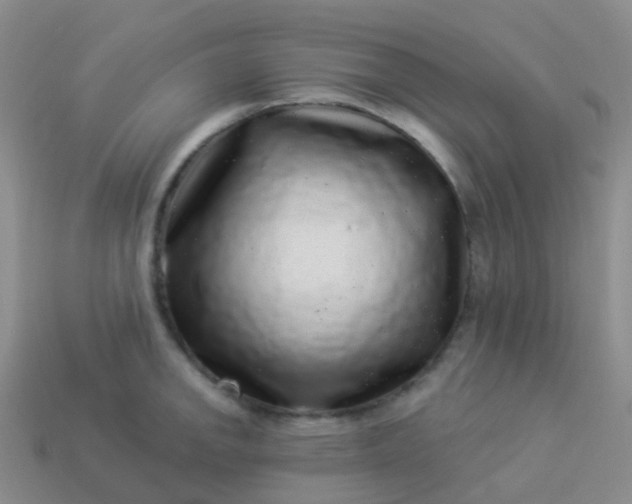 X0000113881142200910081741