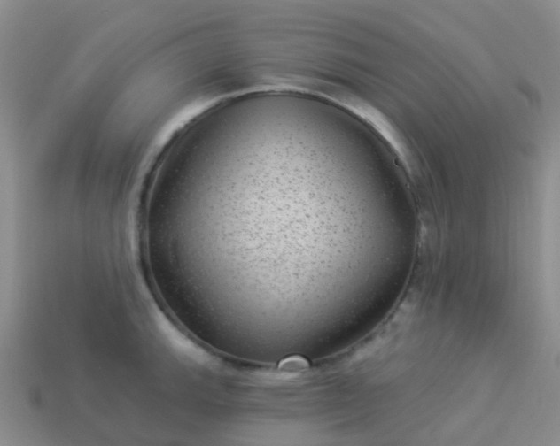 X0000113881143200910081741