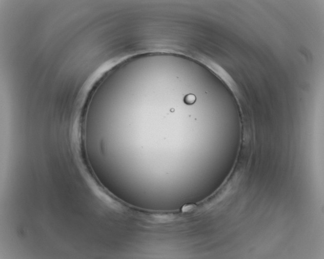 X0000113881144200910081741